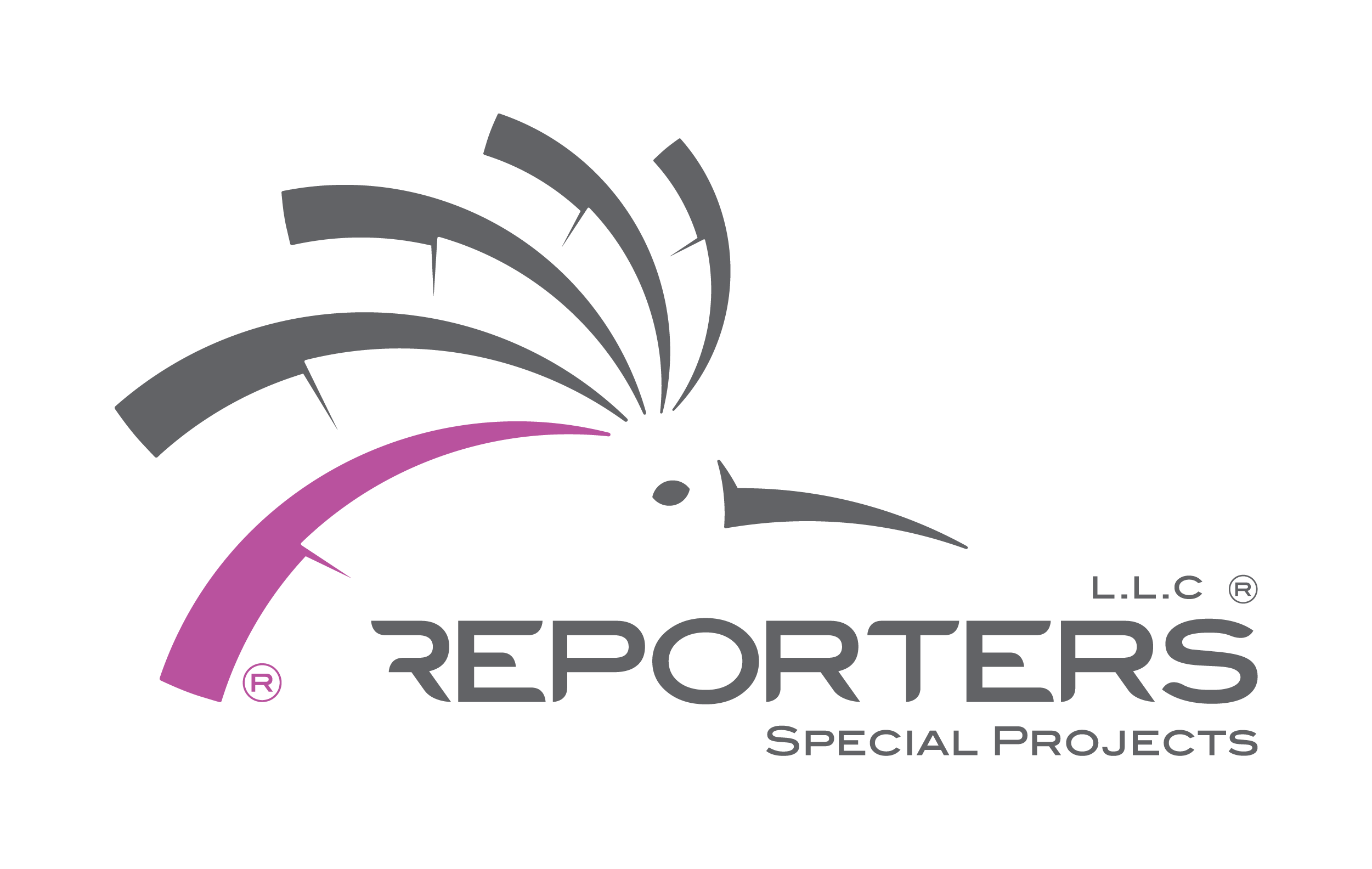 Special Projects